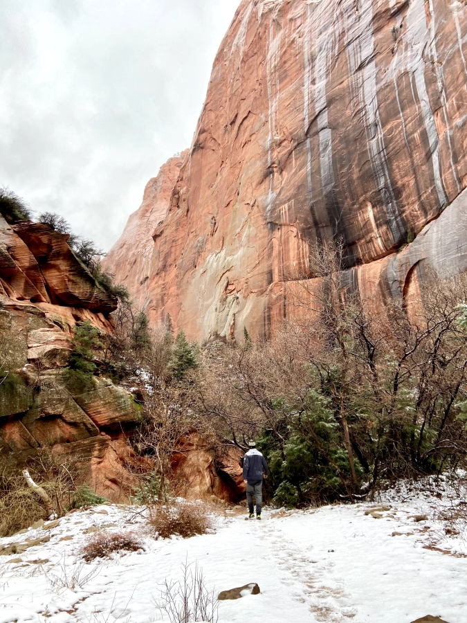 11 Best Day Hikes in Zion National Park (Utah) Jettsetters Travel