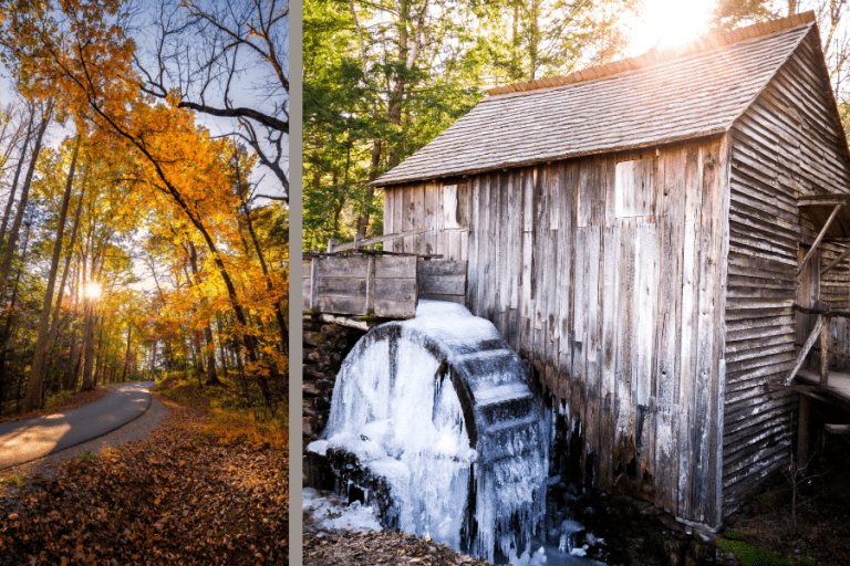 17 Best Smoky Mountain Hikes for Families (2024) Jettsetters Travel