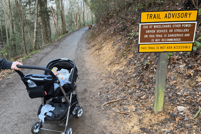 17 Best Smoky Mountain Hikes for Families (2024) Jettsetters Travel
