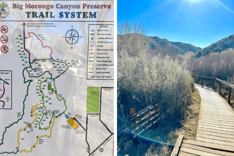 19+ National Parks Near Palm Springs Worth Visiting - On The Go Fam